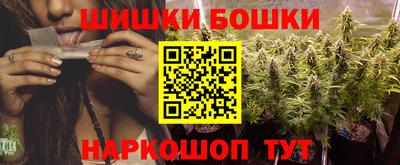 2c-b Камышлов