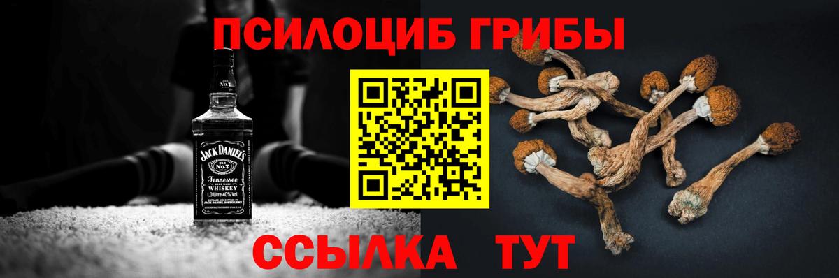 Псилоцибиновые грибы мухоморы  Вход с VPN  Кудымкар 